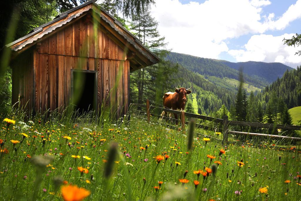 Gasserhuette Innerkrems Pokoj fotografie