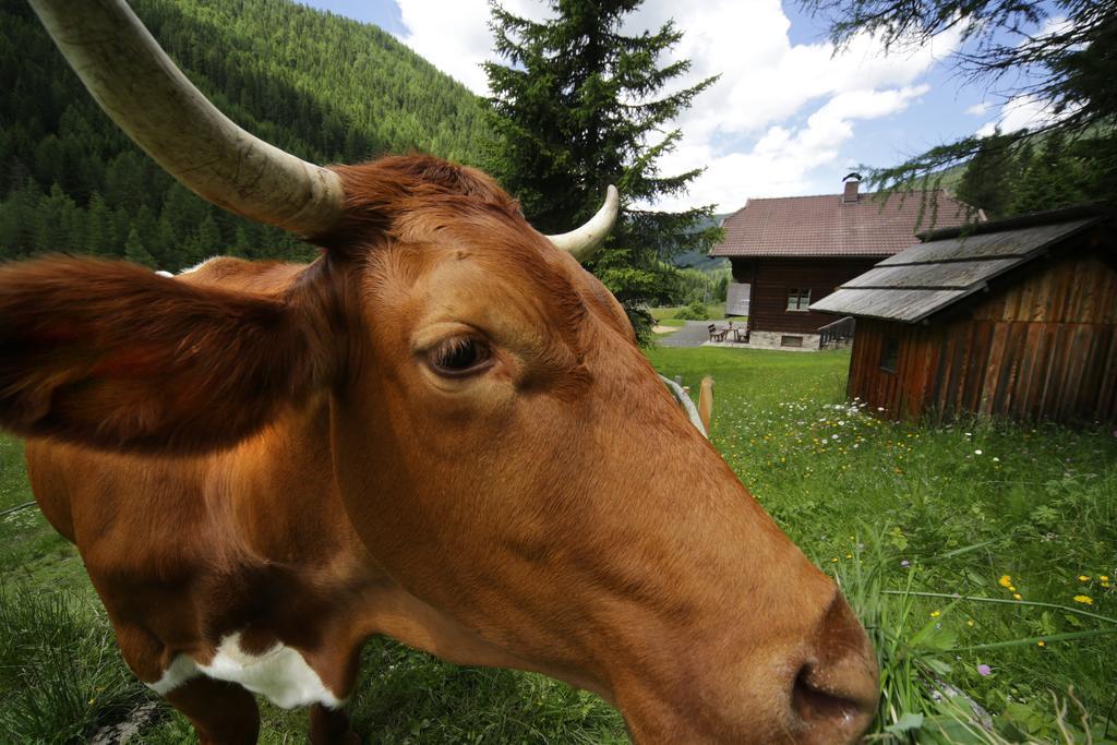 Gasserhuette Innerkrems Pokoj fotografie